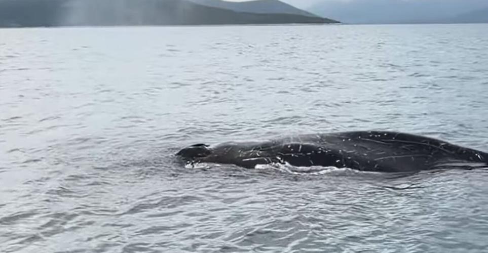 5385813330602417 image