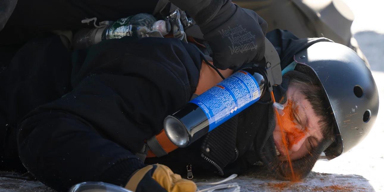 5385875158720957 image