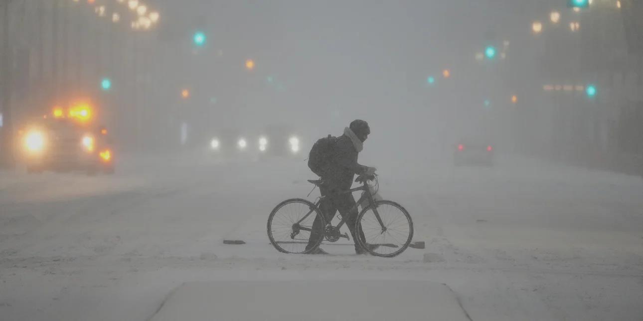 5385948870931533 image