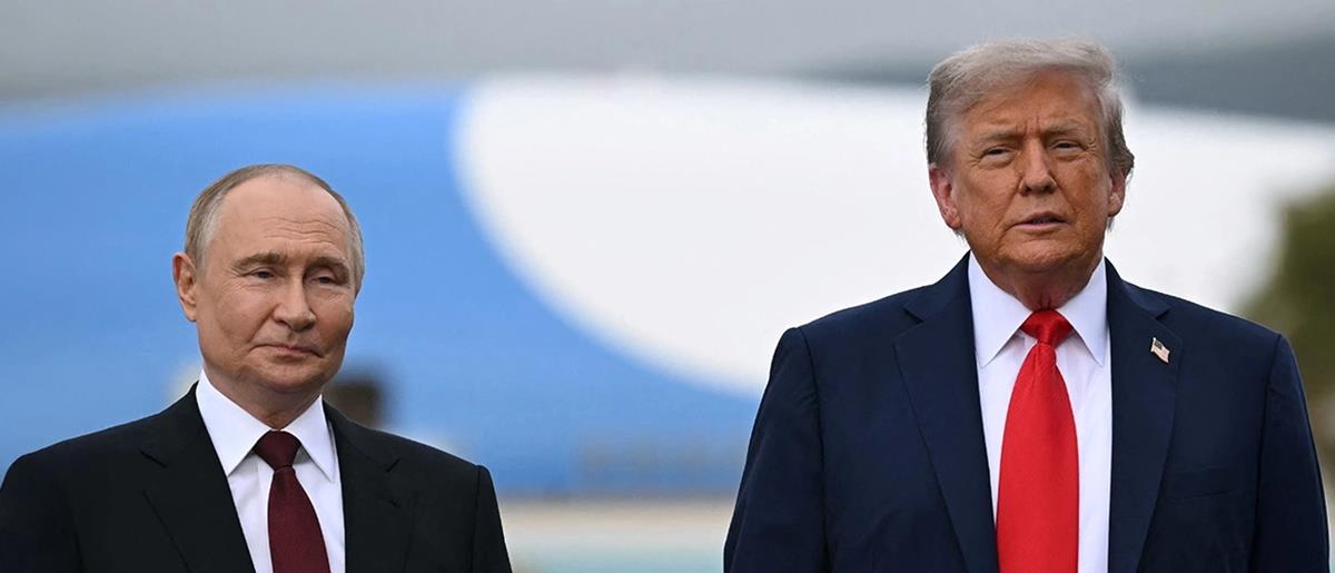 5386442974555381 cats