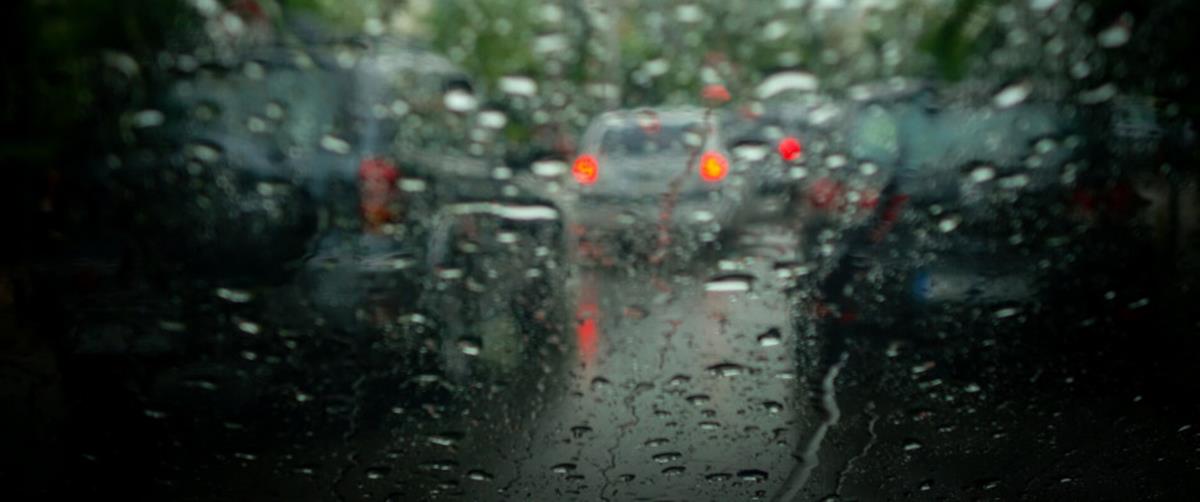 5386444809155471 cats