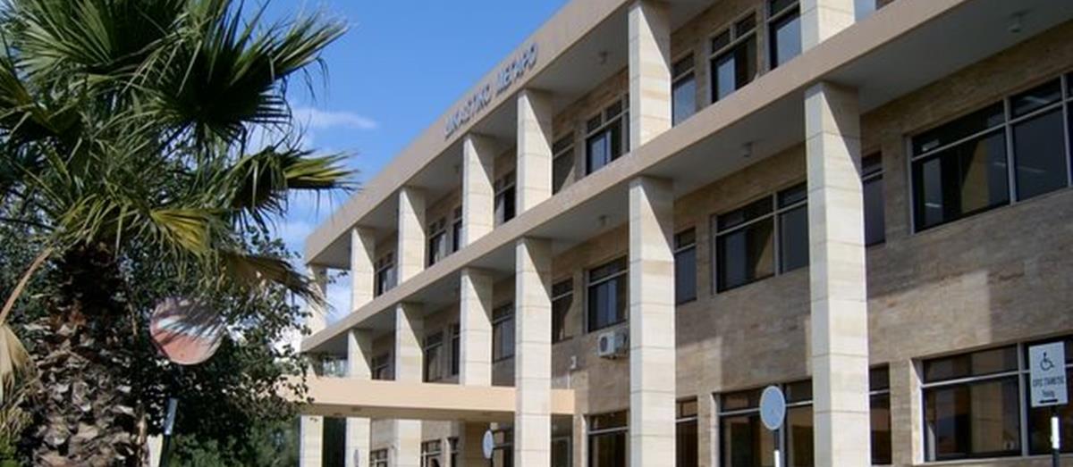 5386528797106742 cats