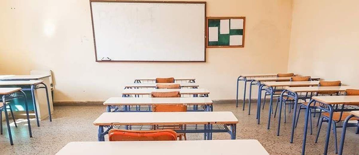 5386650888745232 cats