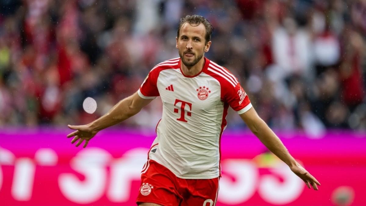 5386836062216936 image