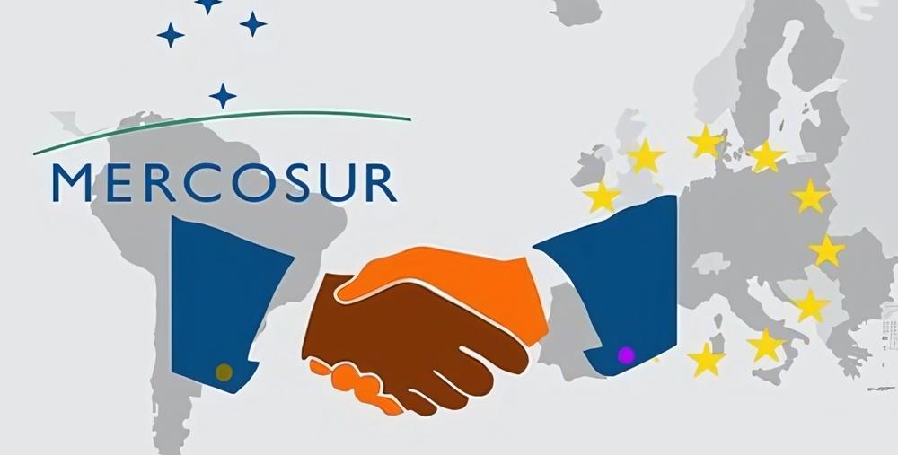 5387586508006661 cats