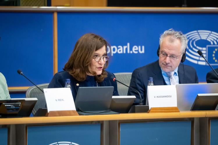 5387608975149283 DOC.20260127.9724645.yfpolitismou