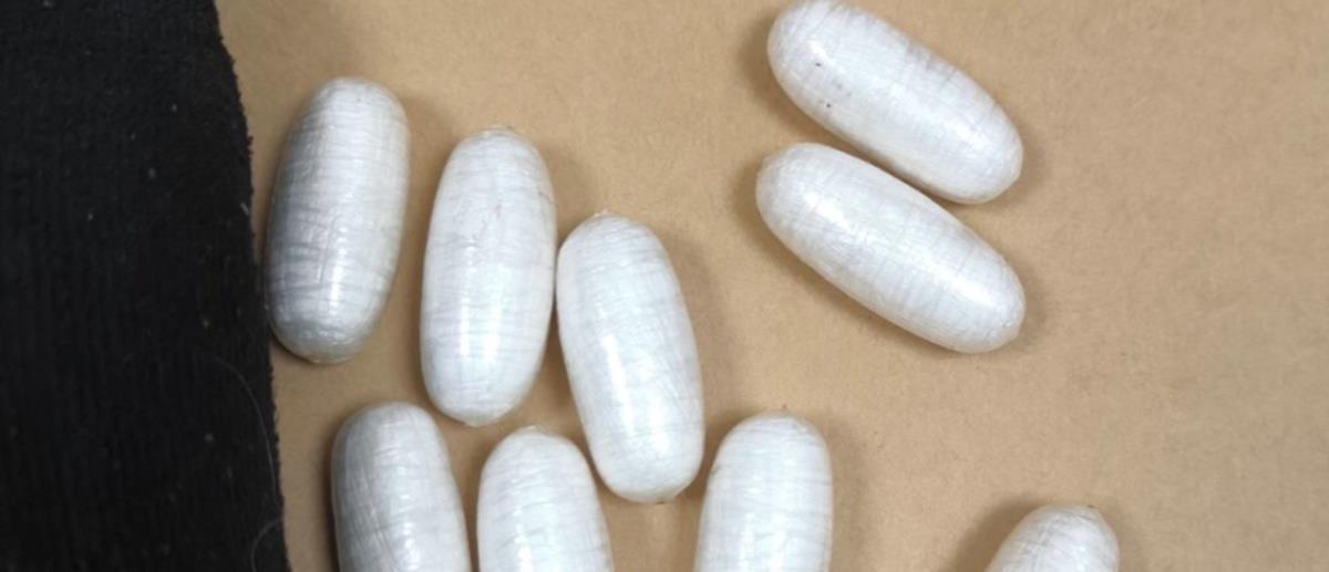 5387644287836774 cats