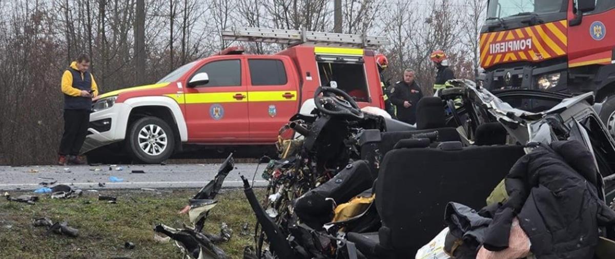 5387656596827739 cats