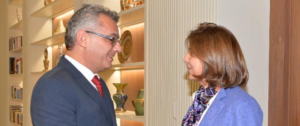 5387685977146457 cats