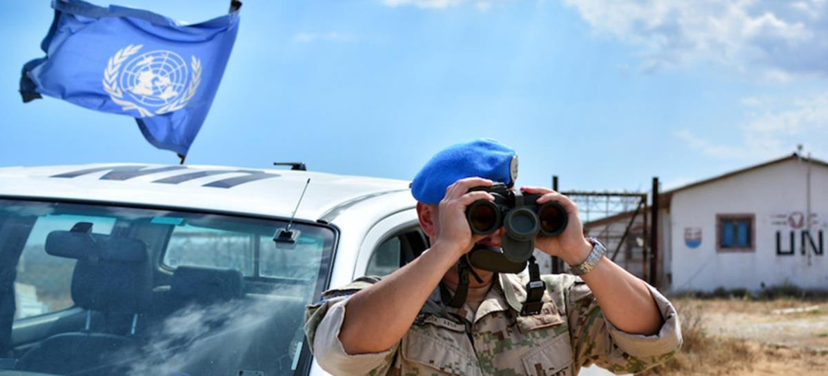 5387720490090816 cats