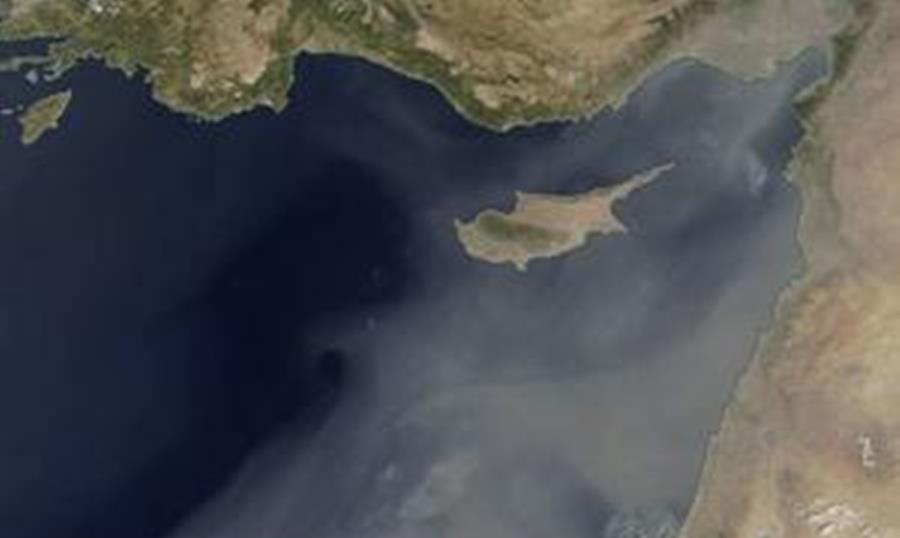 5387744405811607 cats