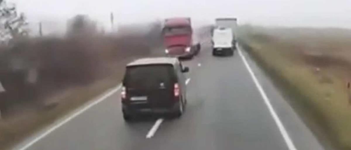 5387748643223399 cats