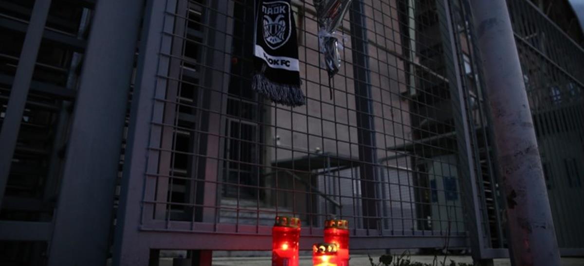 5387769245602662 cats