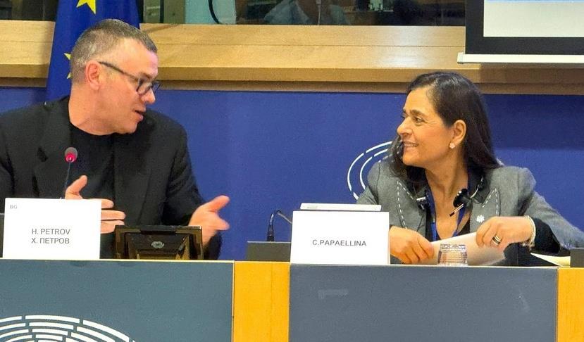 5387779039810741 cats