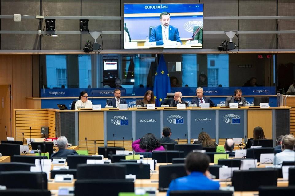 5387803951577767 image