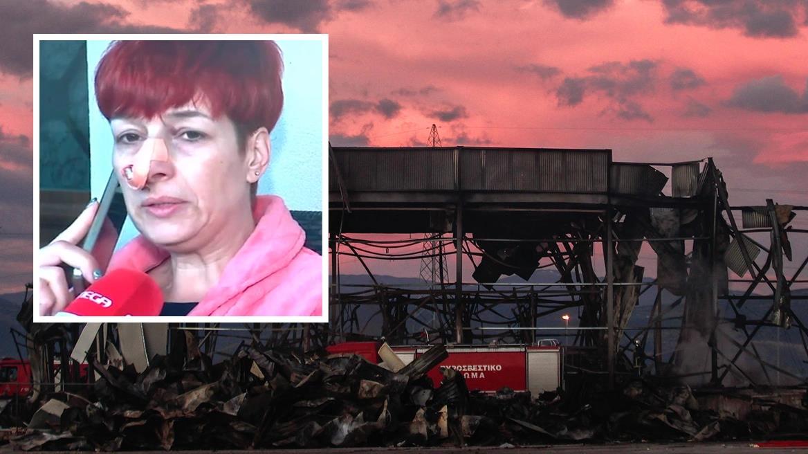 5387808442376184 image