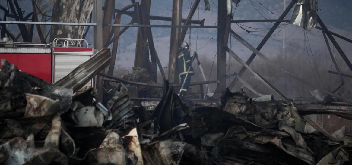 5387832767371480 cats