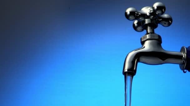 5388221552781659 image