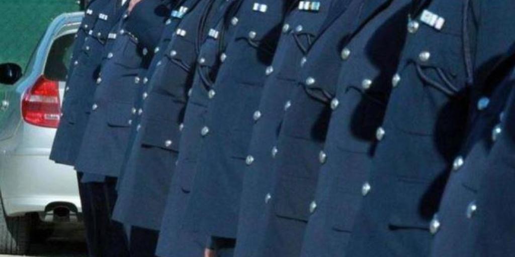 5388231345842951 image