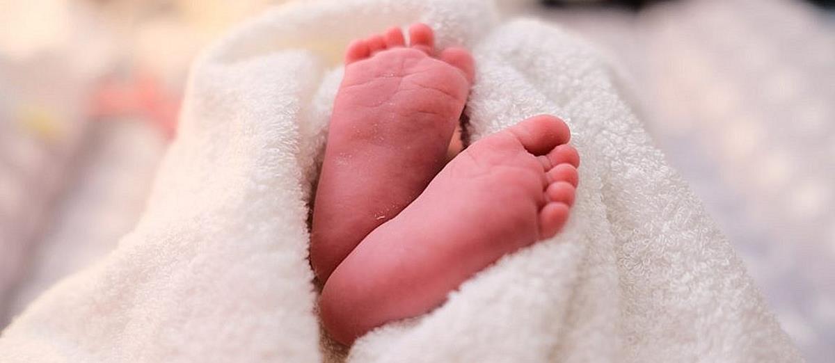 5388233209852377 cats