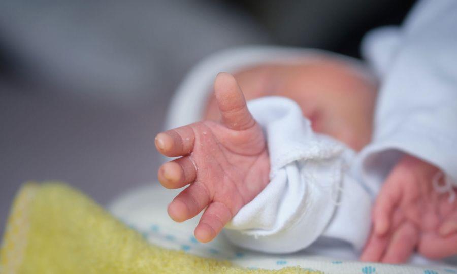 5388254669800859 image