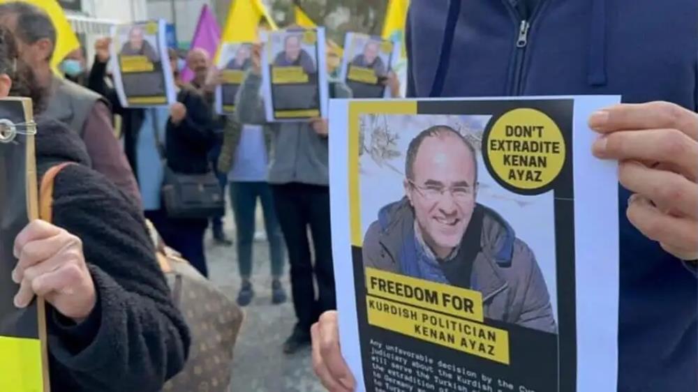 5388281674705658 cats