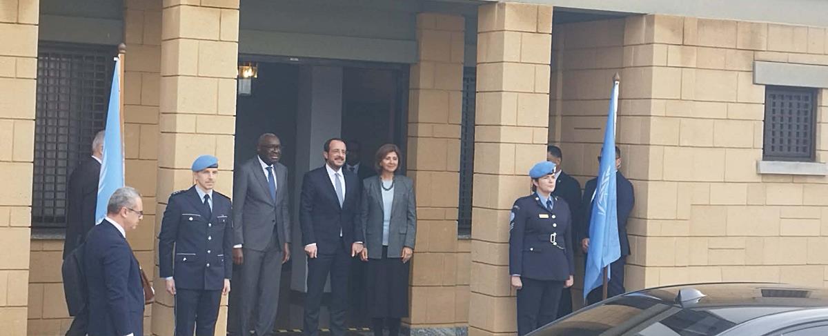 5388304532858028 cats