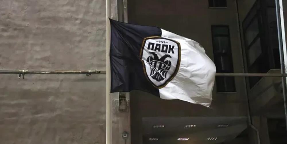 5388316517743678 cats