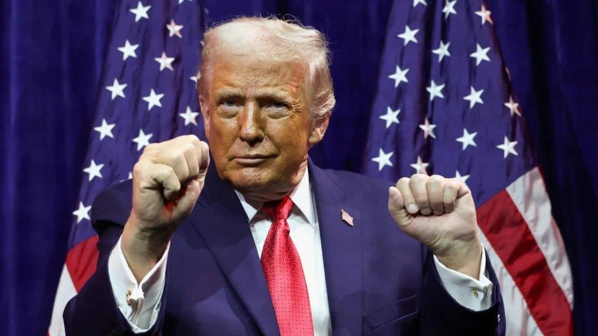 5388356739392637 image