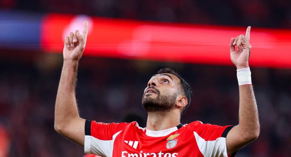 5388358702248260 image