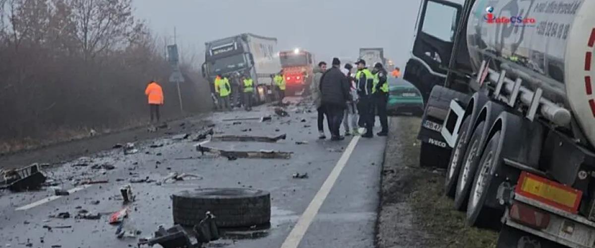 5388382070278816 cats