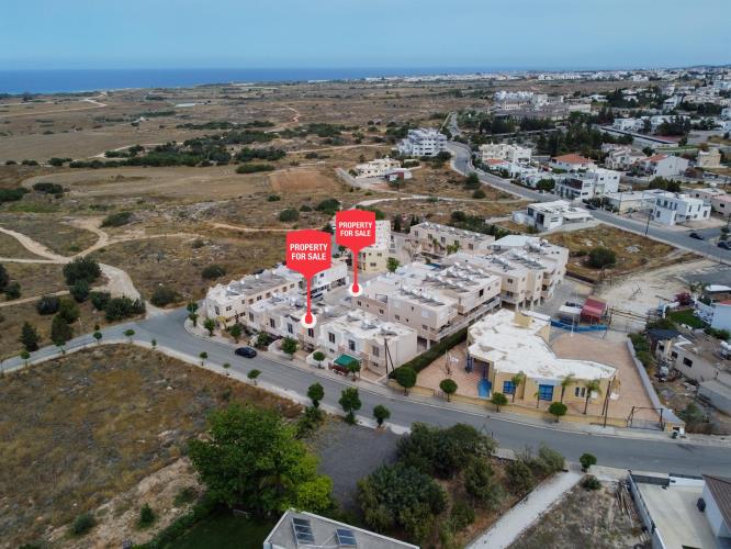 5388449691541300 cg11228