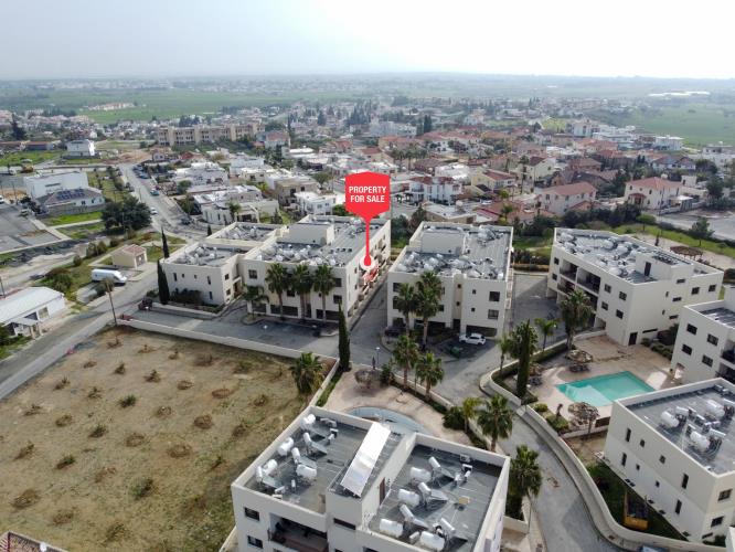 5388450073248246 pr44995