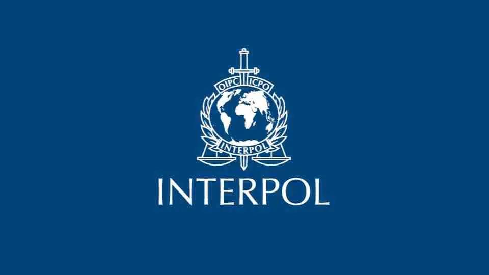 5388586036269631 image