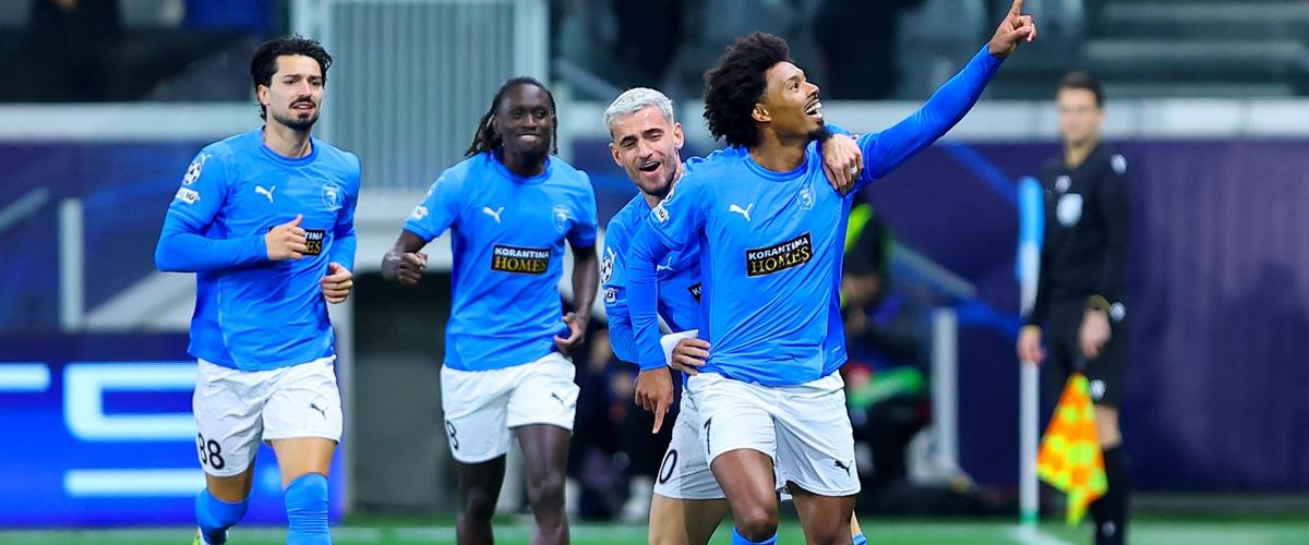 5388782838511913 cats