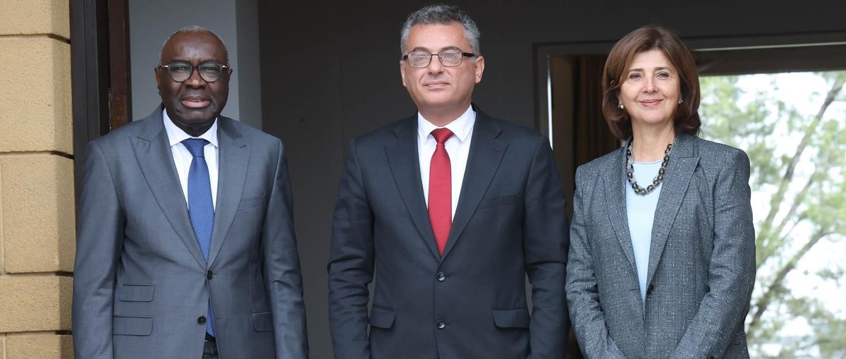 5389148452843500 cats