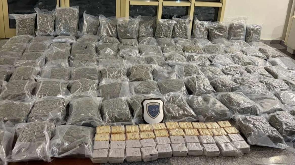 5389167634133465 image