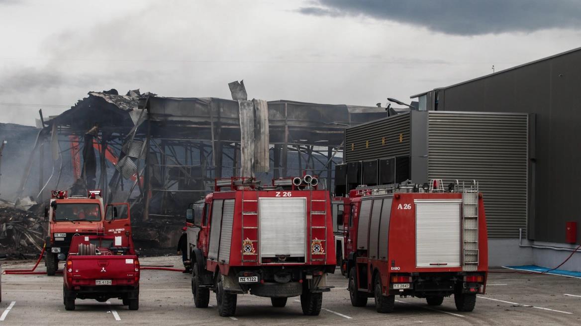 5389160060184019 image