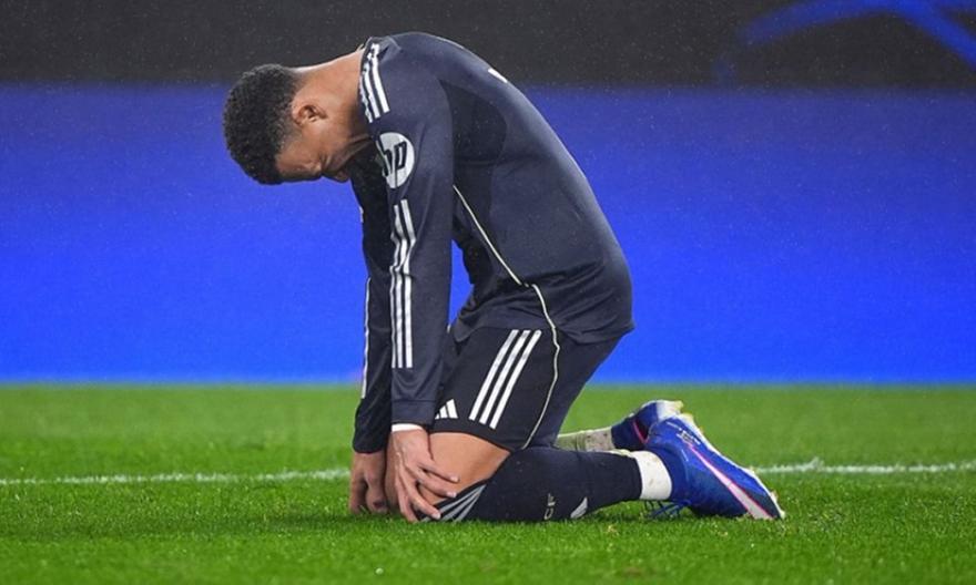 5389273891372751 f-7 kjxp-(plagies) 124814