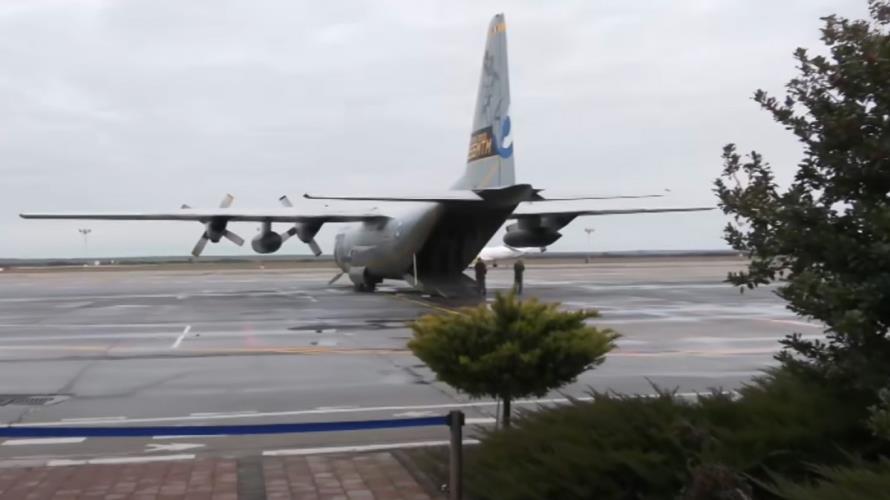 5389423206717517 image