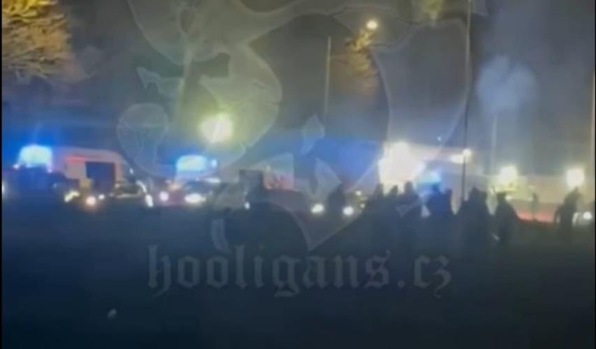 5389545509869901 image