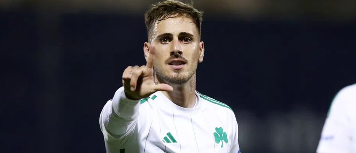 5390009208078277 cats