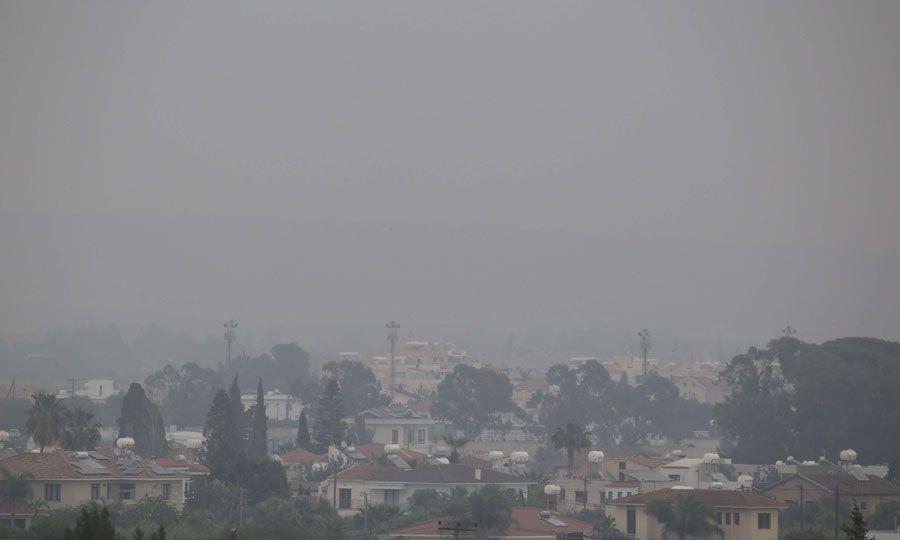 5390039503084127 image