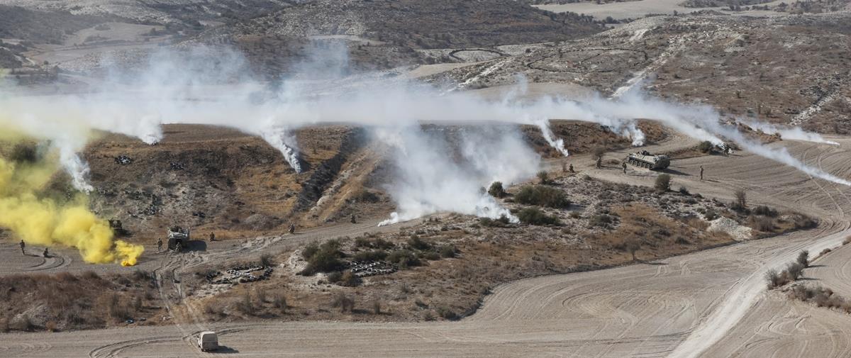 5390073235001156 cats