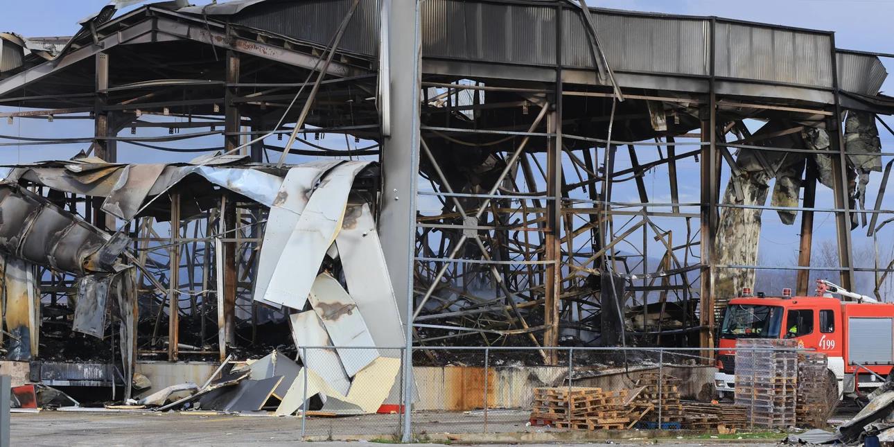 5390075752703901 image