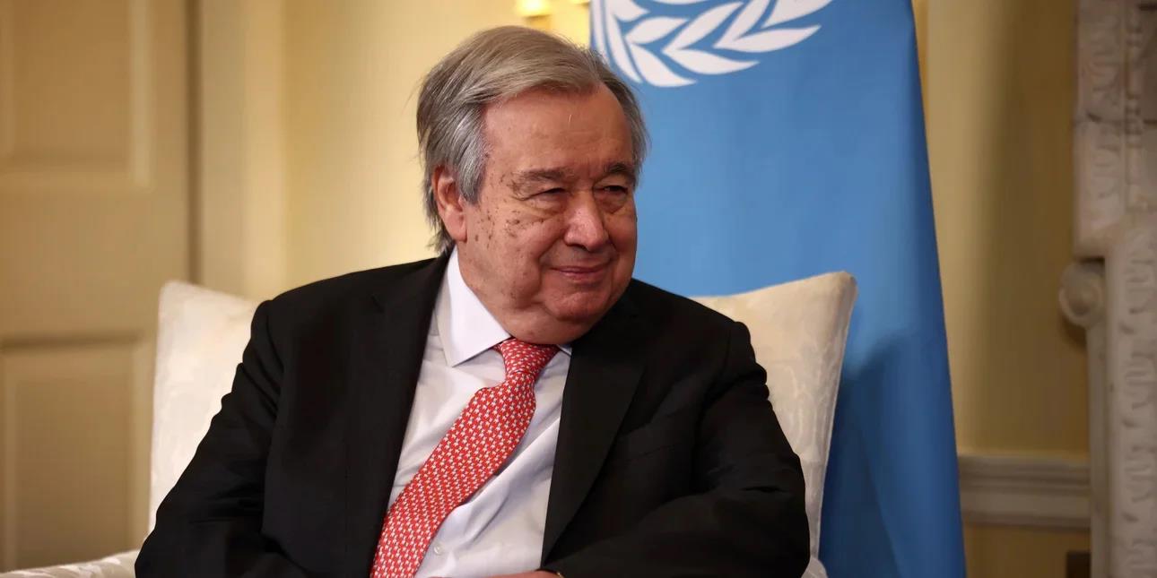 5390085130615197 image