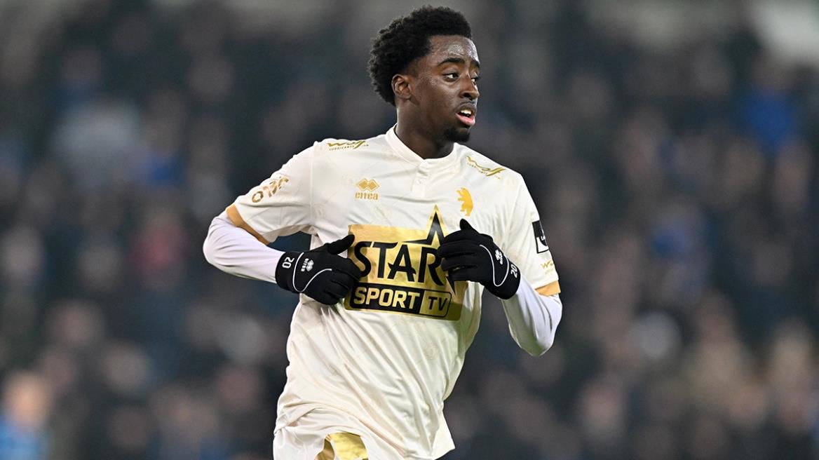 5390094968831223 image