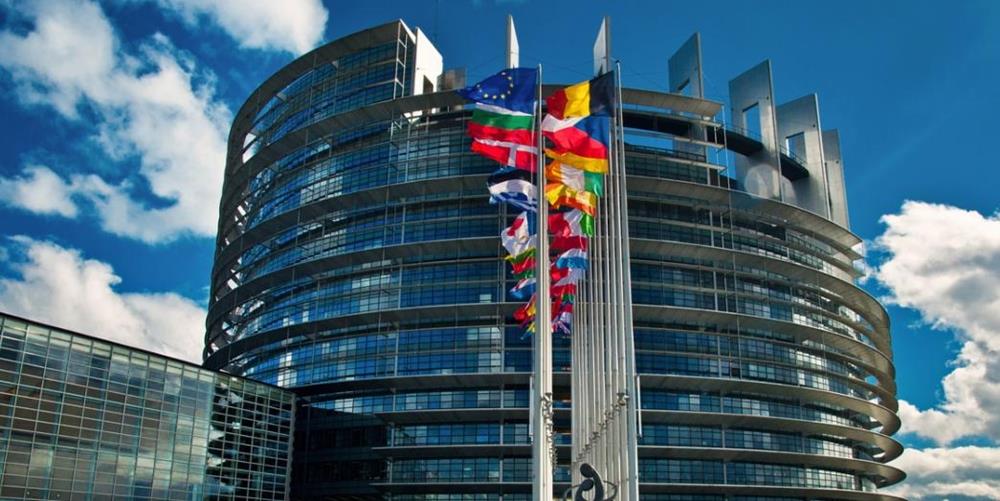 5390139735445545 cats