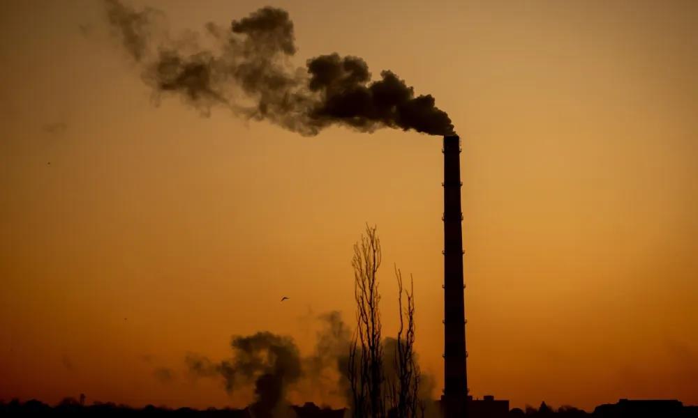 5390159595819361 image