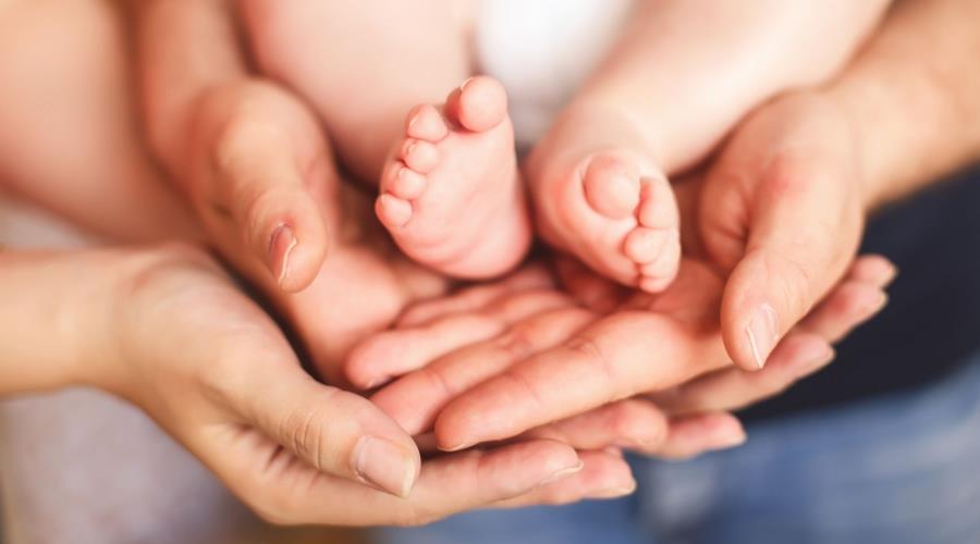 5390200433844524 shutterstock 536460283-1-scaled